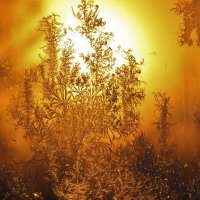 Зимнее солнце за окном :: Сергей Чиняев 