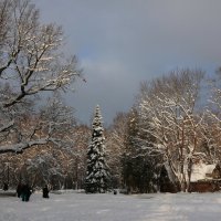 В зимнем парке :: Анна Скляренко