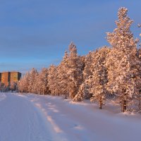 Зимние прогулки :: Ольга 