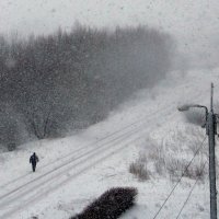 Всё пройдёт, пройдёт и этот... :: Елена Минина