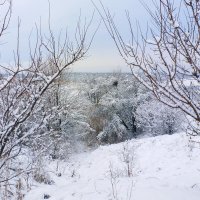 Зима в Мариуполе :: Николай 