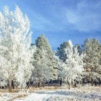 Зимний этюд на Белой горе :: Владимир Кириченко