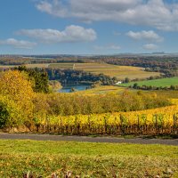 Мозельская виноградная провинция на р.Мозель.Люксембург. :: Lucy Schneider 