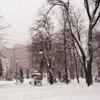 Зима в парке/ Идёт снег :: Galina Solovova