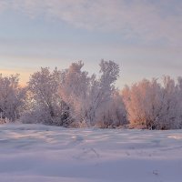 В морозный солнечный денек :: alex graf