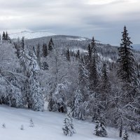 Зима на Южном Урале :: Евгений Тарасов 