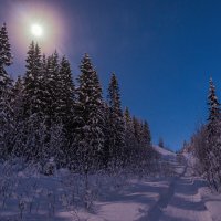 Ухта, -24, вечереет. Поднимаюсь по буранице бывшего лыжного спуска. Снег искрится в свете Луны :: Николай Зиновьев