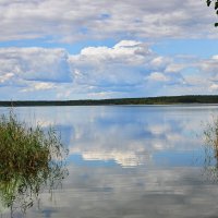 Озеро Журавлево.Ленинградская область :: Александр 