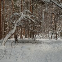 Побродилки с фотокамерой :: Олег Пучков