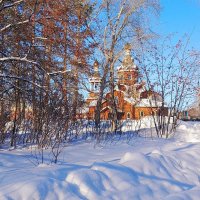 Солнечный январский день . :: Мила Бовкун