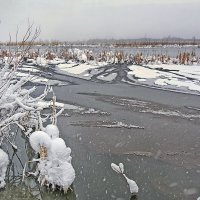 А снег идёт... :: Юрий Митенёв
