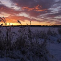 Берег озера зимой :: Ольга 