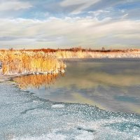 По кромке льда :: Юрий Митенёв