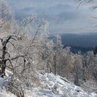 Зимняя  картина :: Евгений Тарасов 