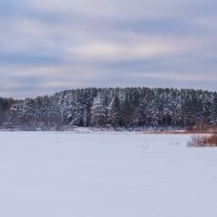 Зимний лес... :: Михаил Пименов
