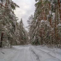 Зимняя дорога :: Сергей Цветков