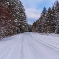 Зимний лес :: Михаил Пименов