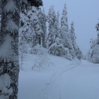 В горах Пухатунтури :: Ольга 