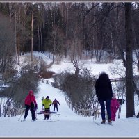 В Павловском парке... :: vadim 