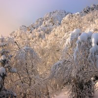 Вечереет... :: Галина Ильясова