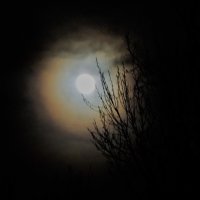 Лунное гало в рождественскую ночь в Туле :: Вячеслав Маслов