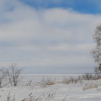 Береговой пейзаж . :: Мила Бовкун