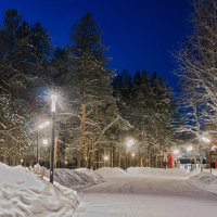 Ухта. В зимнем парке :: Николай Зиновьев