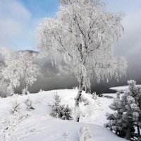 Зима :: Анатолий Соляненко