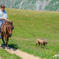 Даже в горы со своими питомцами :: Александр Леонов