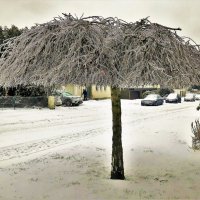 Зима в городе(серия) :: Владимир Манкер