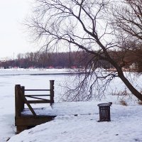 Зимнее озеро. :: tamara 