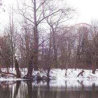 Отражение деревьев в озере. Минск. :: tamara 