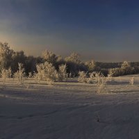 Зимний закат :: Сергей Жуков