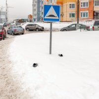 Вот так пропадают люди :: Валерий Иванович