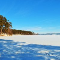 Зимний солнечный денёк :: Oksana ***