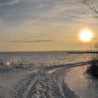 Мороз и солнце :: Юрий Шевляков