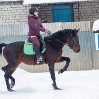 Эля и Гуччи :: Елена Логачева