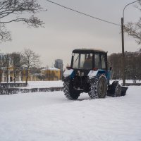 В парке Александрино :: Роман Алексеев