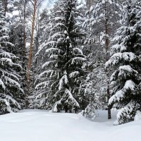 Зима - проказница. :: Милешкин Владимир Алексеевич 