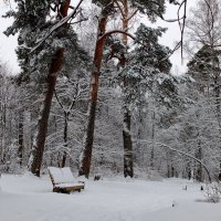 Не садись на пенек, садись на лавочку... :: Людмила Alex