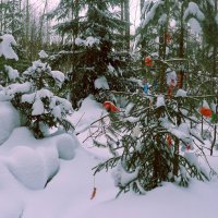 В сказочном лесу :: Людмила Гулина