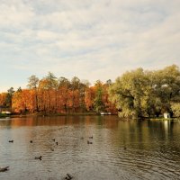 в осеннем парке... #63 :: Андрей Вестмит