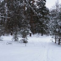 Моя Смоленщина. :: Милешкин Владимир Алексеевич 