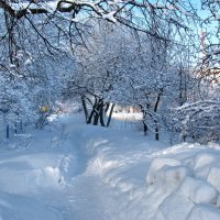 Городская тропинка :: Юрий Шевляков