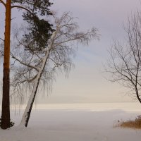 Морозное утро :: Анна Суханова