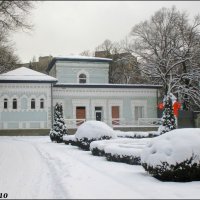Зима в ростовском зоопарке... :: Нина Бутко