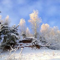 Причуды природы. :: Татаурова Лариса 