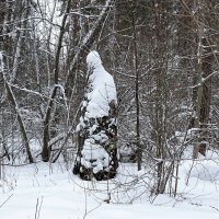 "Дед мороз" в лесу. :: Милешкин Владимир Алексеевич 