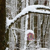 Зимний парк. :: Милешкин Владимир Алексеевич 