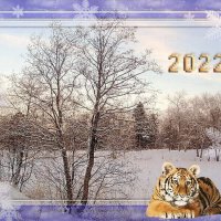 С Новым 2022 годом по восточному календарю! :: Лия ☼